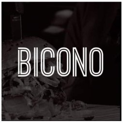Bicono-logo