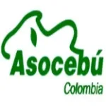 ASOCEBU